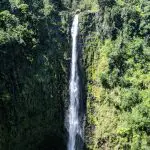 Hawaiian Tropical Forest Waterfall